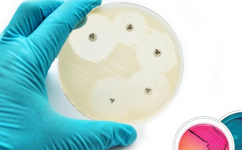 Serdecznie zapraszamy na wykłady prof. dr hab. Dariusza Wasyla