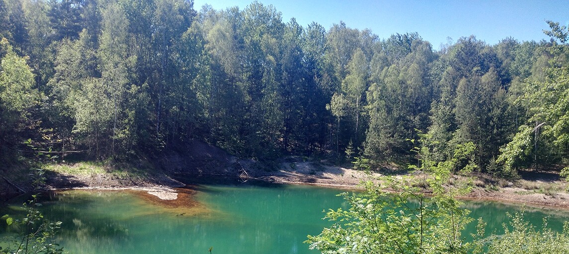 Zapraszamy do udziału w Konferencji: „Przyroda, krajobraz i ochrona środowiska polskiej części Łuku Mużakowa”