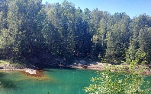 Zapraszamy do udziału w Konferencji: „Przyroda, krajobraz i ochrona środowiska polskiej części Łuku Mużakowa”