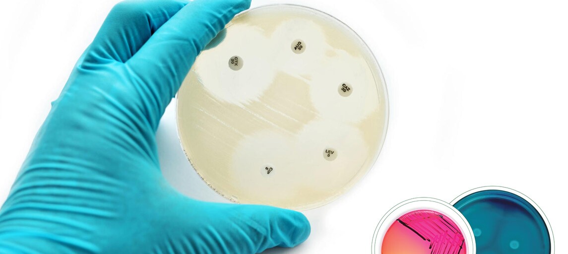 Serdecznie zapraszamy na wykłady prof. dr hab. Dariusza Wasyla