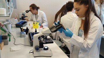 BIP - Blended Intensive Programme