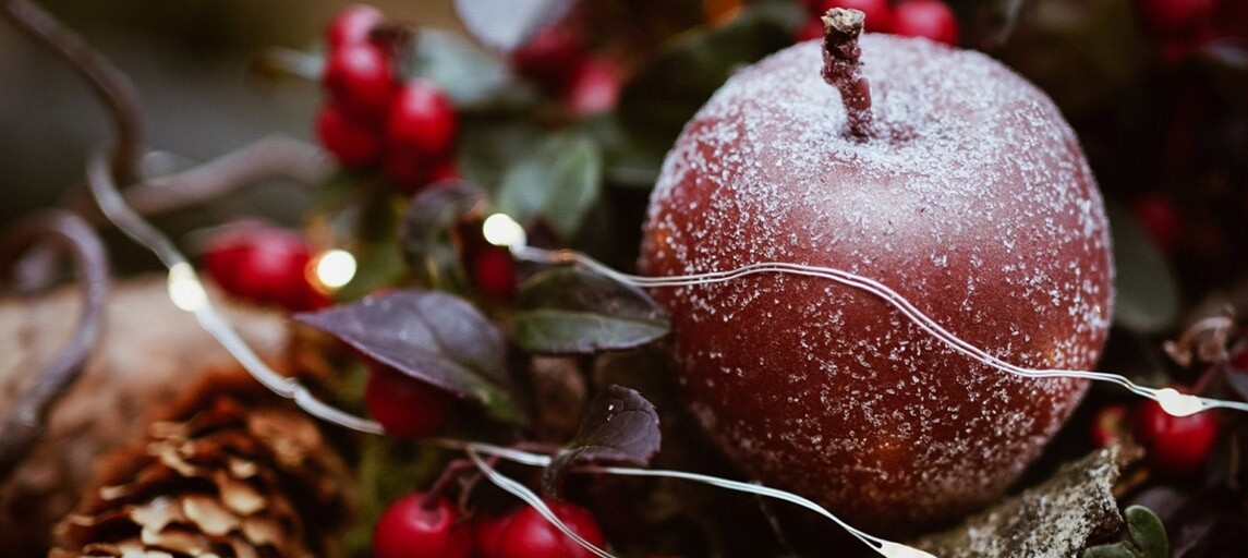 Wesołych Świąt i szczęśliwego Nowego Roku!