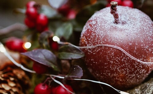 Wesołych Świąt i Szczęśliwego Nowego Roku!